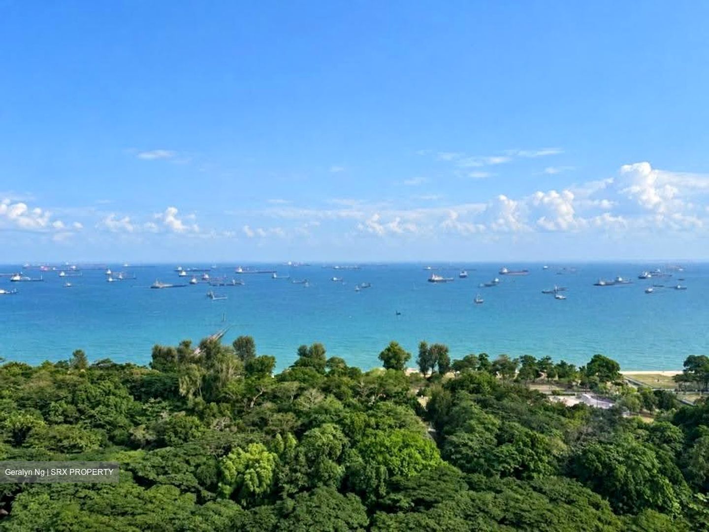 Costa Del Sol (D16), Condominium #613591661